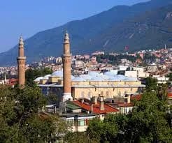 Bursa